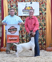 HJ Showstock Winners